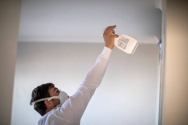Best Residential Mold Removal  in Telluride, CO